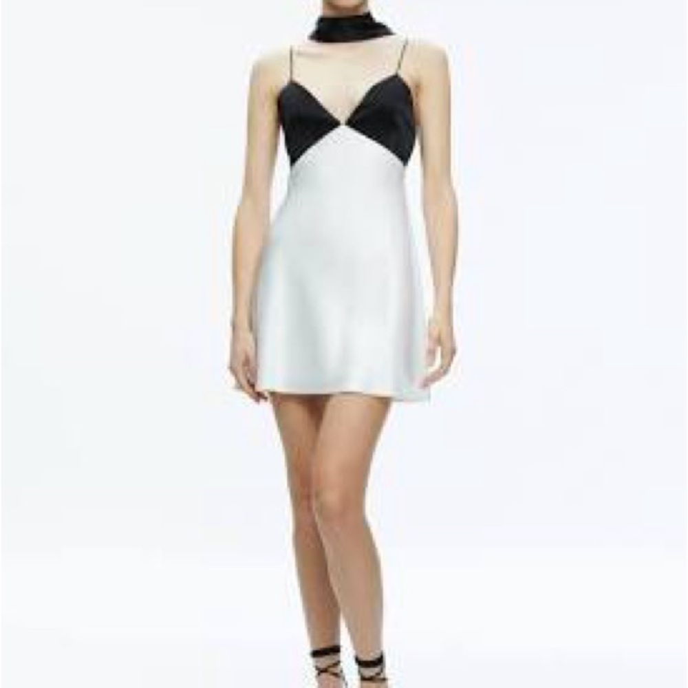 Alice + Olivia Julienne V-Neck Mini Dress